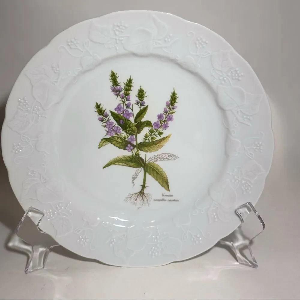 Vintage Dansk Botanical Ivy Veronica Anagallis Aquatica 9 3/4